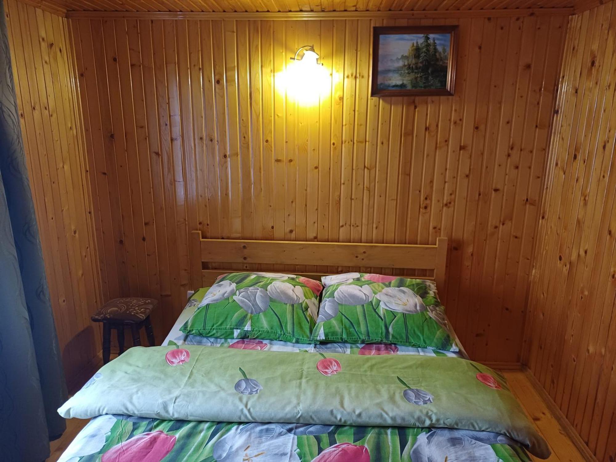 Green House Panorama Karpat Volosyanka  Buitenkant foto
